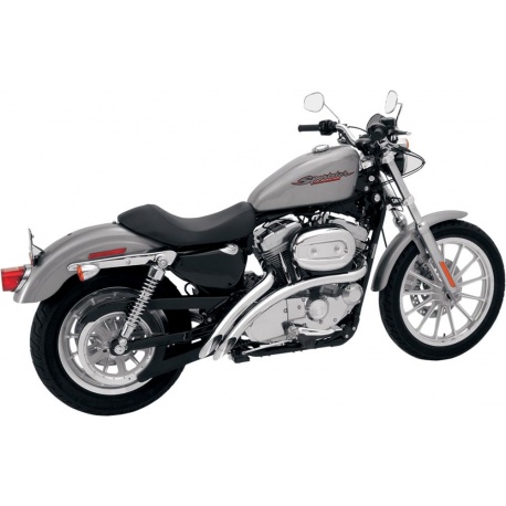 echappement-radial-sweepers-sportster-bassani-4